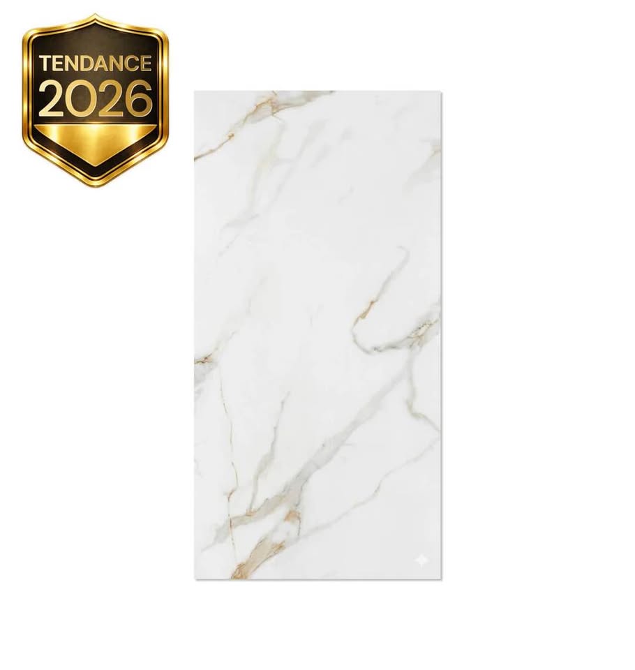 24*48" Céramique effet marbre pour salle de bain et maison